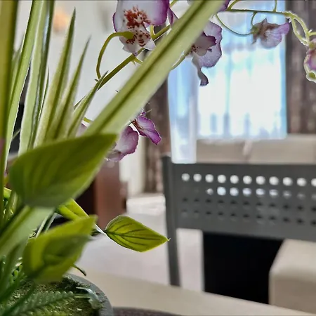 Grenada - Menada アパートホテル